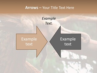 Asleep Wasted Jobless PowerPoint Template