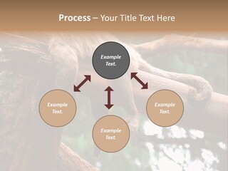 Asleep Wasted Jobless PowerPoint Template