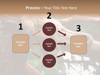 Asleep Wasted Jobless PowerPoint Template