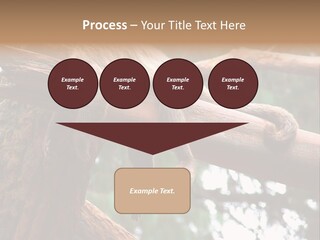 Asleep Wasted Jobless PowerPoint Template