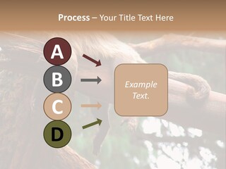 Asleep Wasted Jobless PowerPoint Template