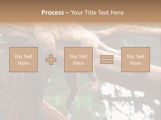 Asleep Wasted Jobless PowerPoint Template