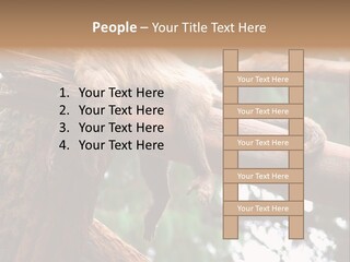 Asleep Wasted Jobless PowerPoint Template