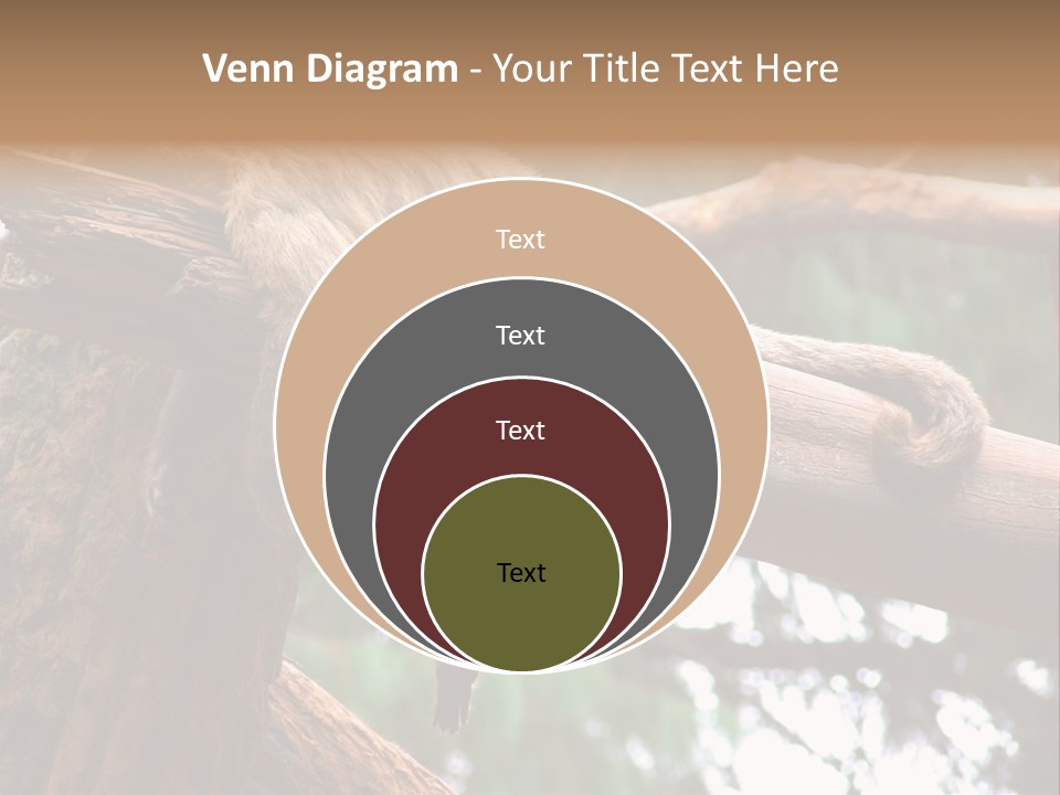 Asleep Wasted Jobless PowerPoint Template