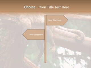 Asleep Wasted Jobless PowerPoint Template