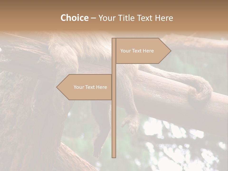 Asleep Wasted Jobless PowerPoint Template