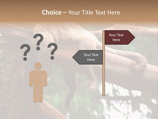 Asleep Wasted Jobless PowerPoint Template