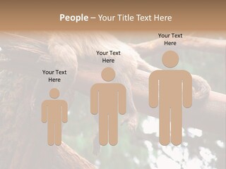 Asleep Wasted Jobless PowerPoint Template