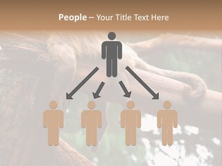 Asleep Wasted Jobless PowerPoint Template