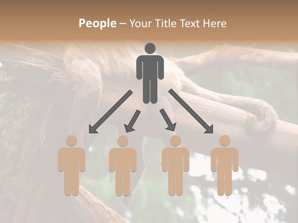 Asleep Wasted Jobless PowerPoint Template