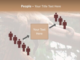 Asleep Wasted Jobless PowerPoint Template