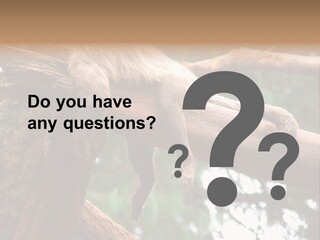 Asleep Wasted Jobless PowerPoint Template