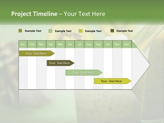 Mixed Kiwi Refreshment PowerPoint Template