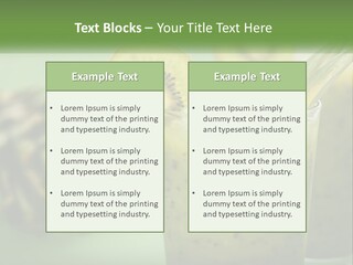 Mixed Kiwi Refreshment PowerPoint Template