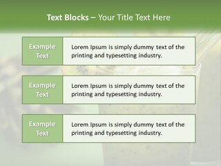Mixed Kiwi Refreshment PowerPoint Template