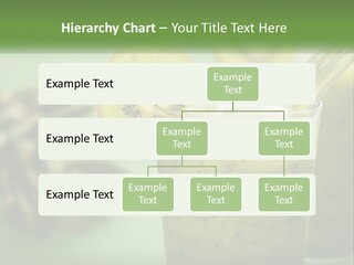 Mixed Kiwi Refreshment PowerPoint Template