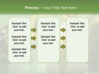Mixed Kiwi Refreshment PowerPoint Template