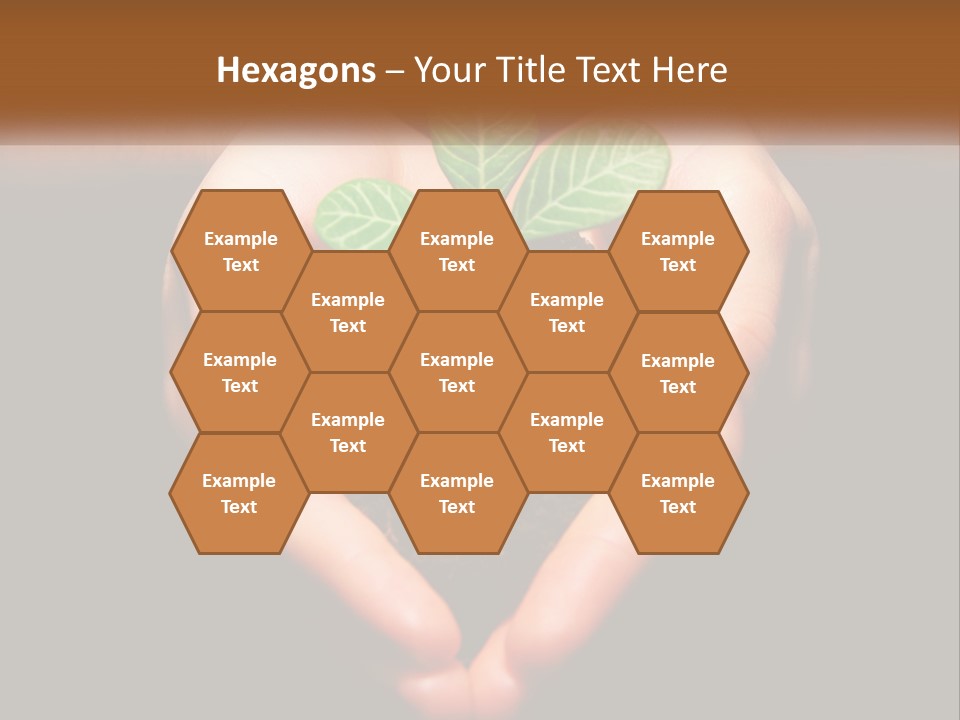 Hand Growing Stem PowerPoint Template