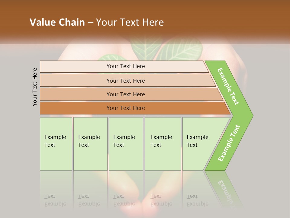 Hand Growing Stem PowerPoint Template