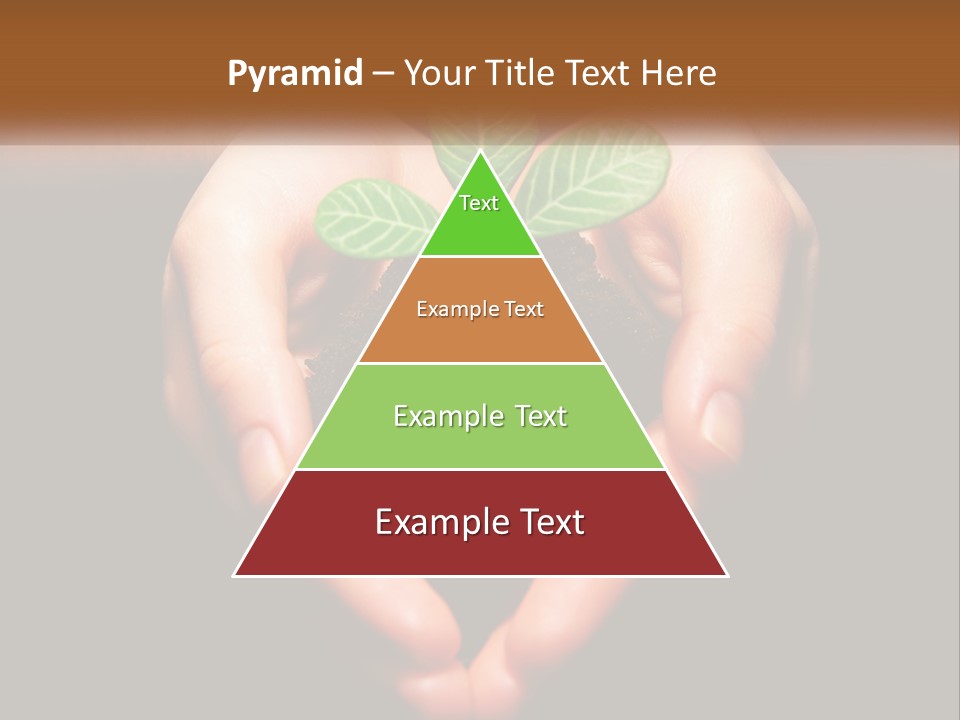 Hand Growing Stem PowerPoint Template
