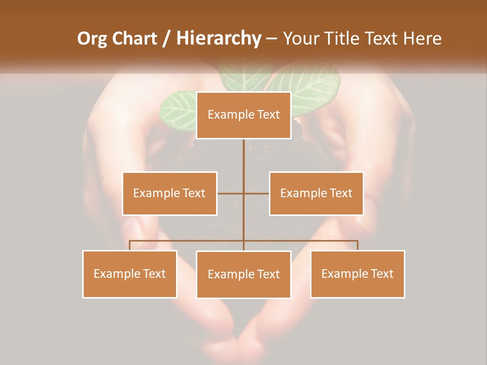 Hand Growing Stem PowerPoint Template