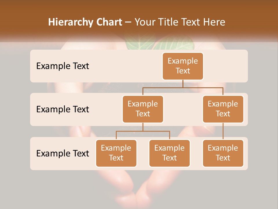 Hand Growing Stem PowerPoint Template
