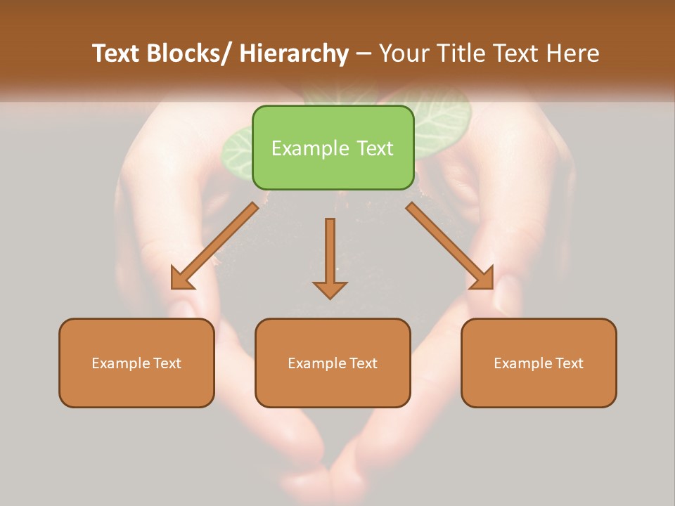 Hand Growing Stem PowerPoint Template