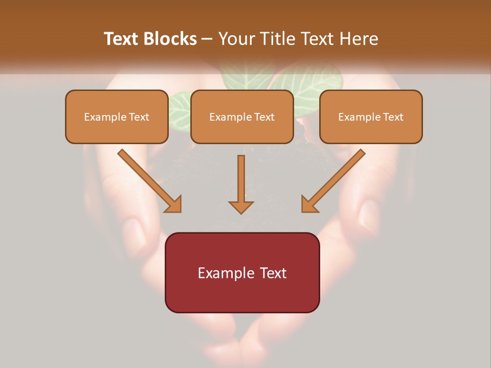 Hand Growing Stem PowerPoint Template