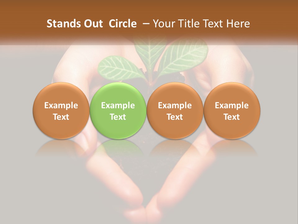 Hand Growing Stem PowerPoint Template
