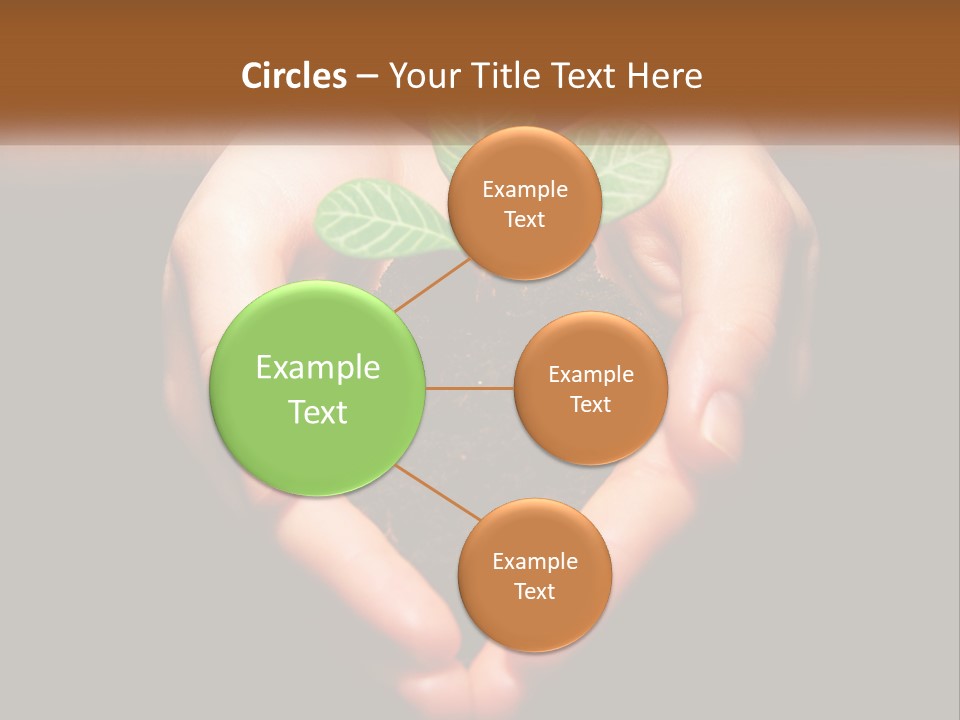 Hand Growing Stem PowerPoint Template