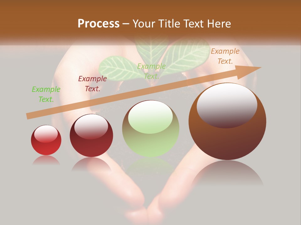 Hand Growing Stem PowerPoint Template