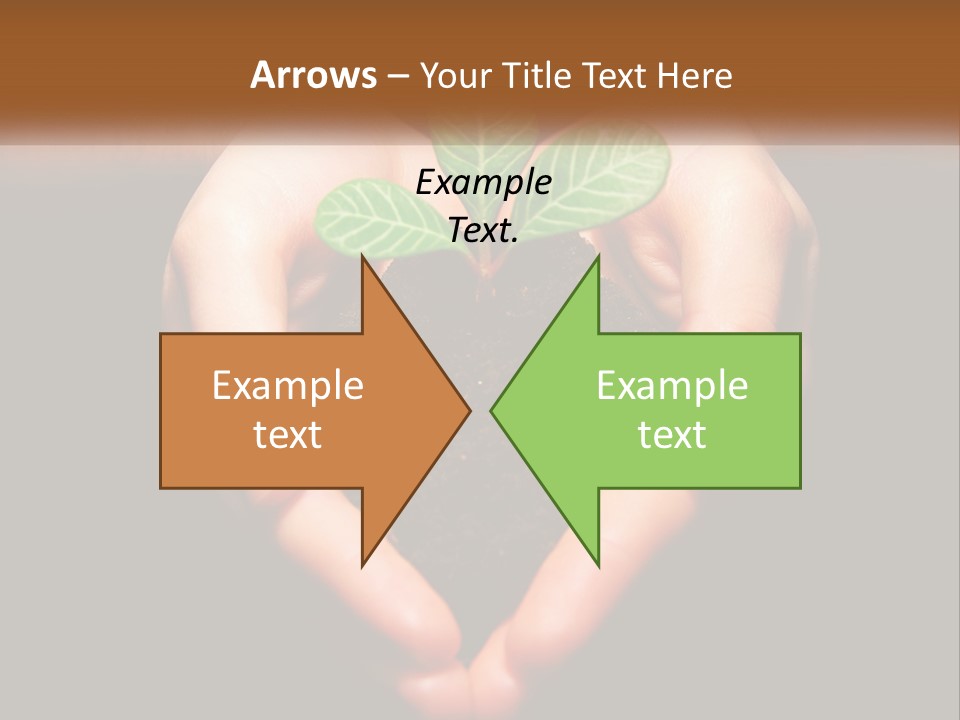Hand Growing Stem PowerPoint Template