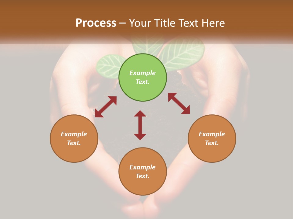 Hand Growing Stem PowerPoint Template