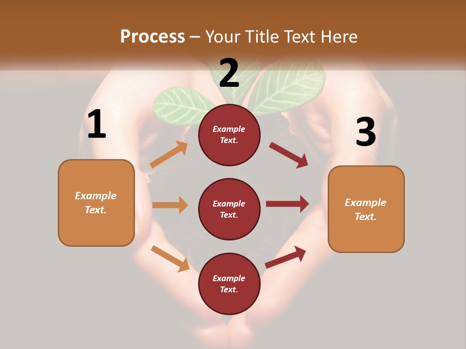 Hand Growing Stem PowerPoint Template