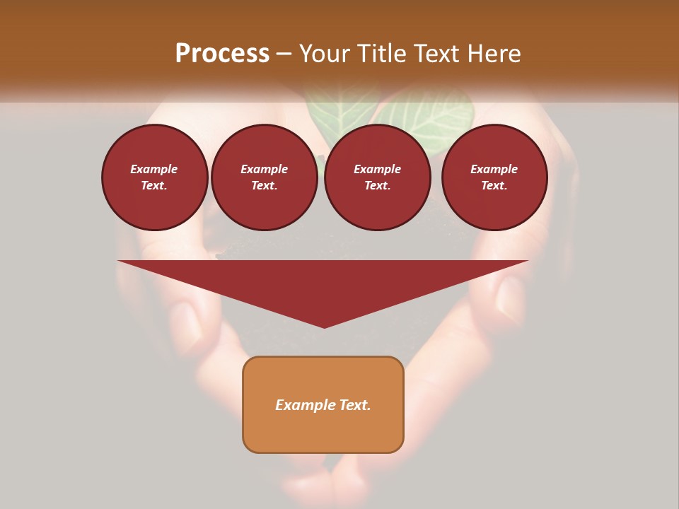 Hand Growing Stem PowerPoint Template