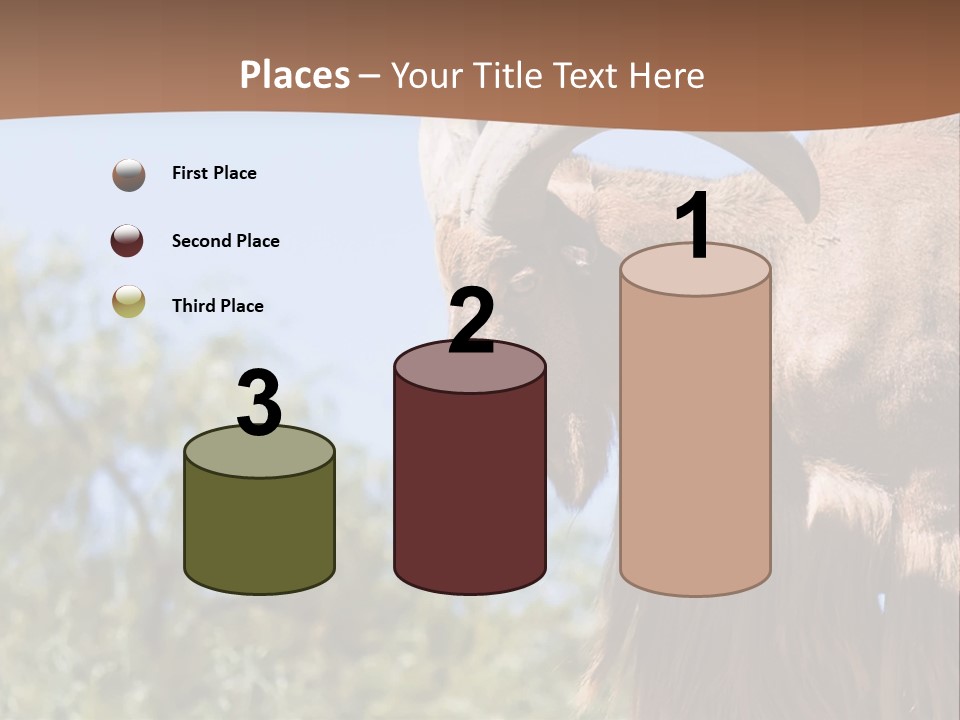 Waddan Sheep Artiodactyla PowerPoint Template