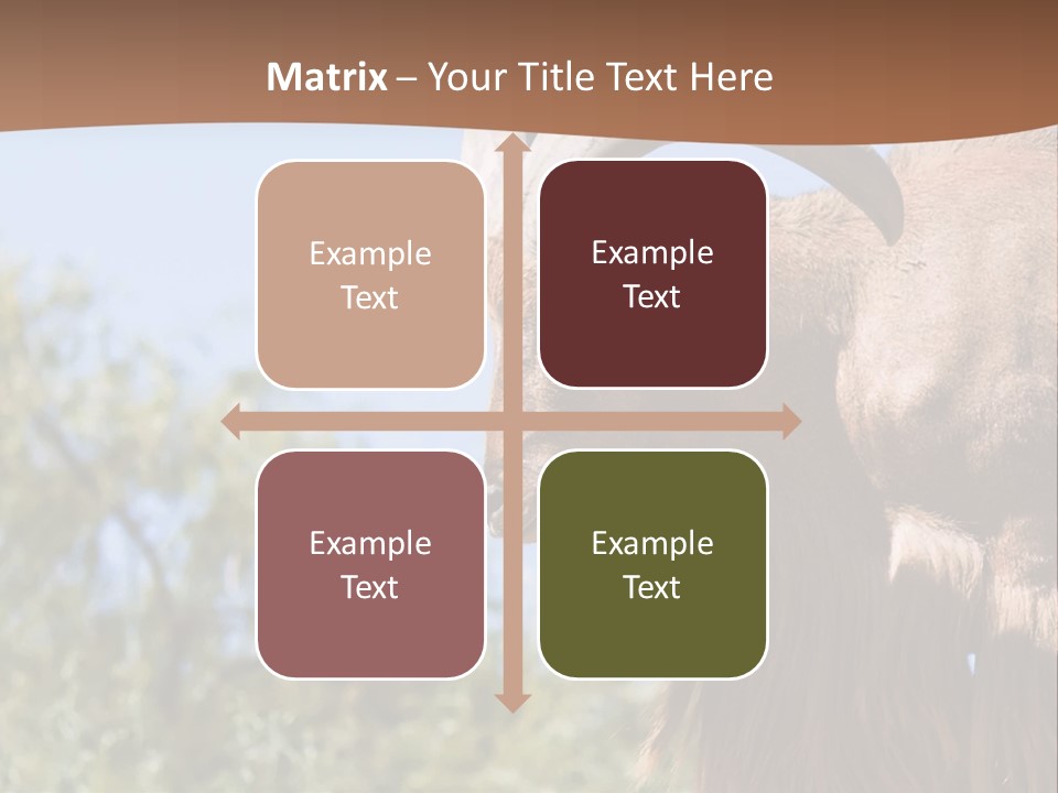 Waddan Sheep Artiodactyla PowerPoint Template