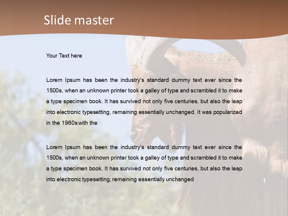 Waddan Sheep Artiodactyla PowerPoint Template