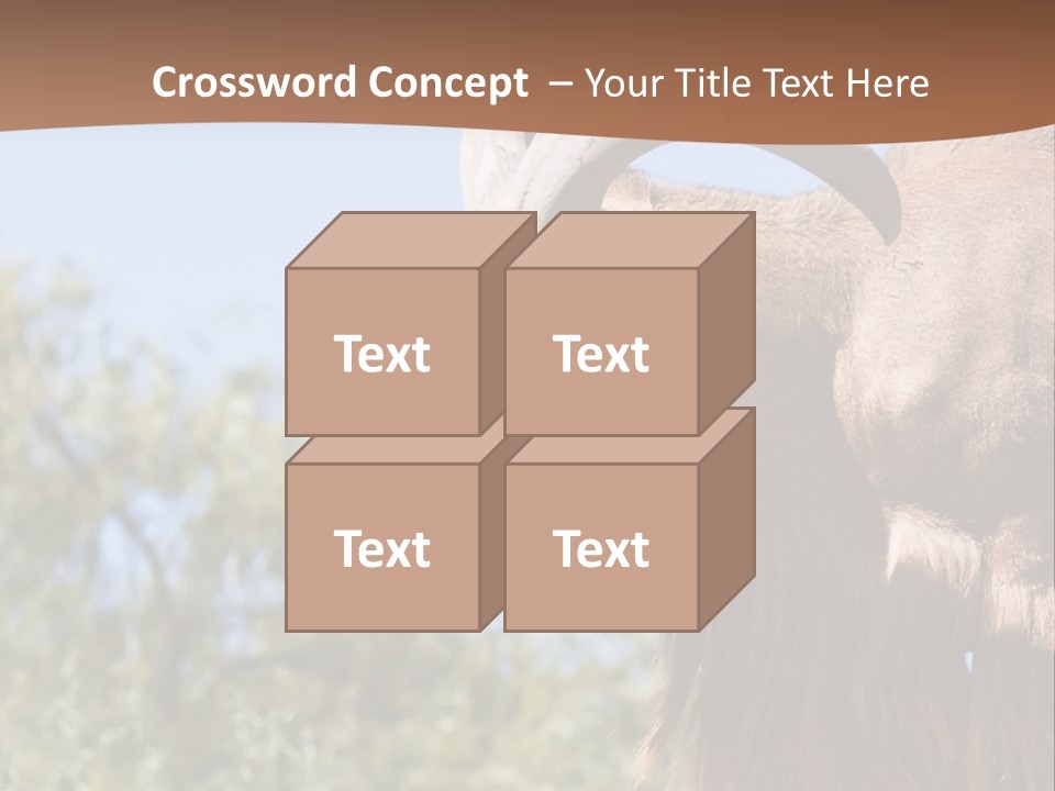 Waddan Sheep Artiodactyla PowerPoint Template