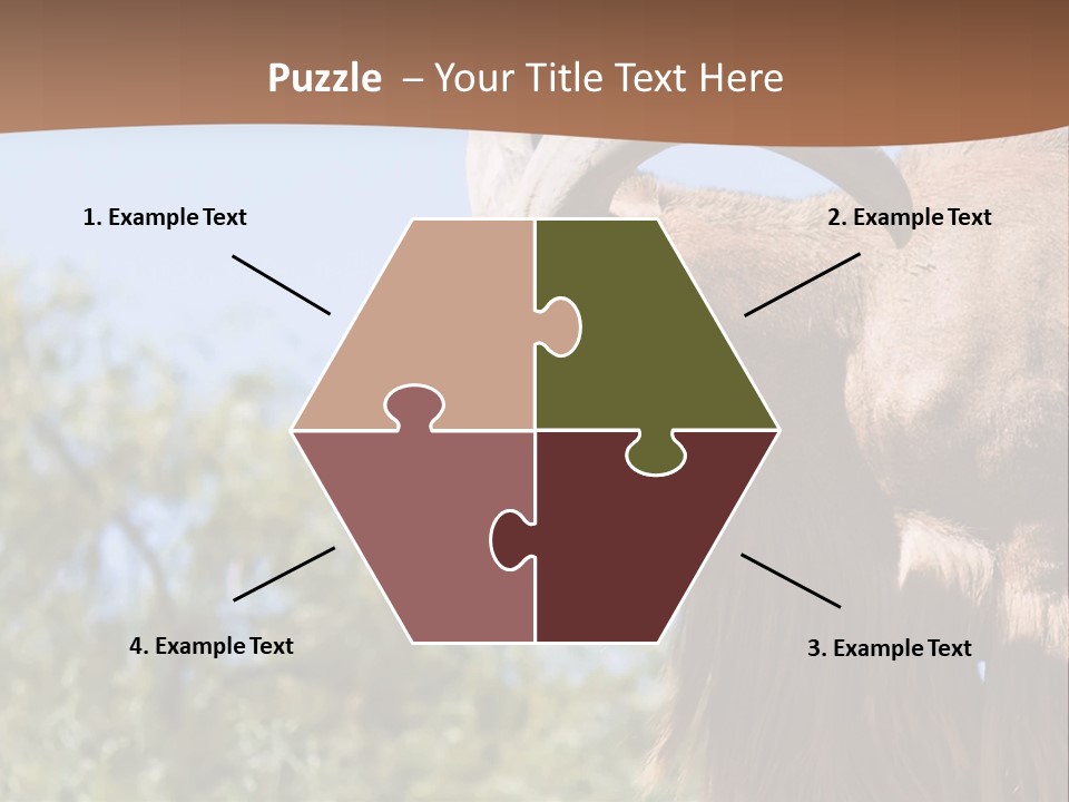 Waddan Sheep Artiodactyla PowerPoint Template