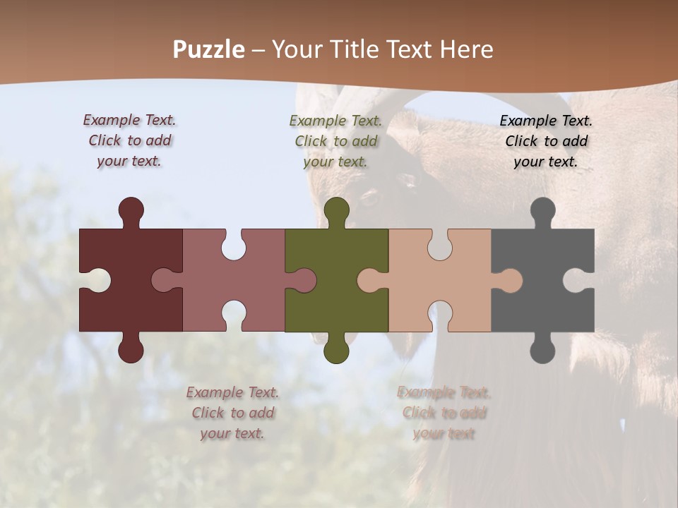 Waddan Sheep Artiodactyla PowerPoint Template