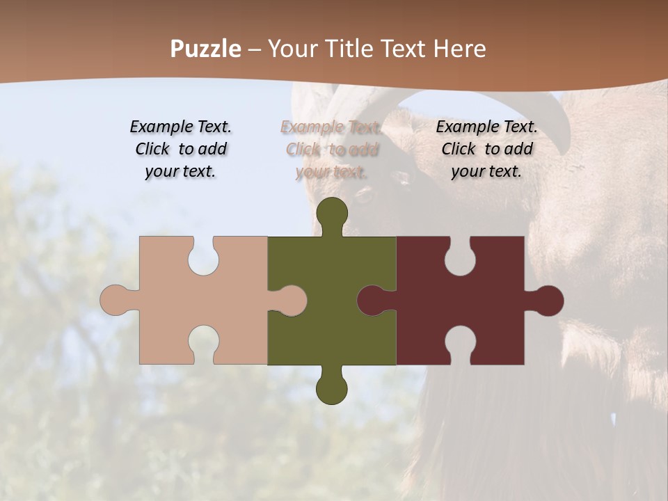 Waddan Sheep Artiodactyla PowerPoint Template