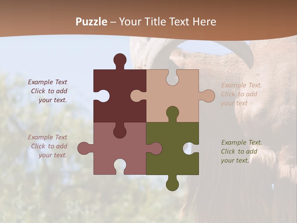 Waddan Sheep Artiodactyla PowerPoint Template