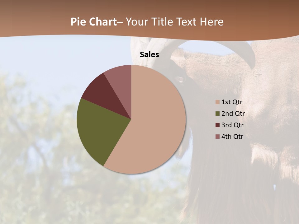 Waddan Sheep Artiodactyla PowerPoint Template