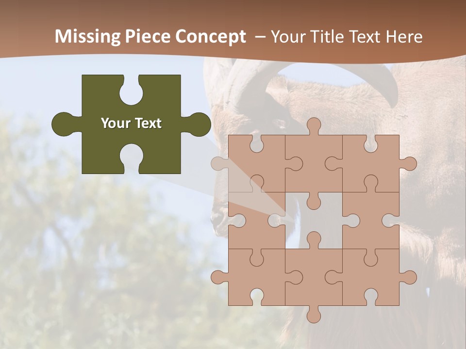 Waddan Sheep Artiodactyla PowerPoint Template