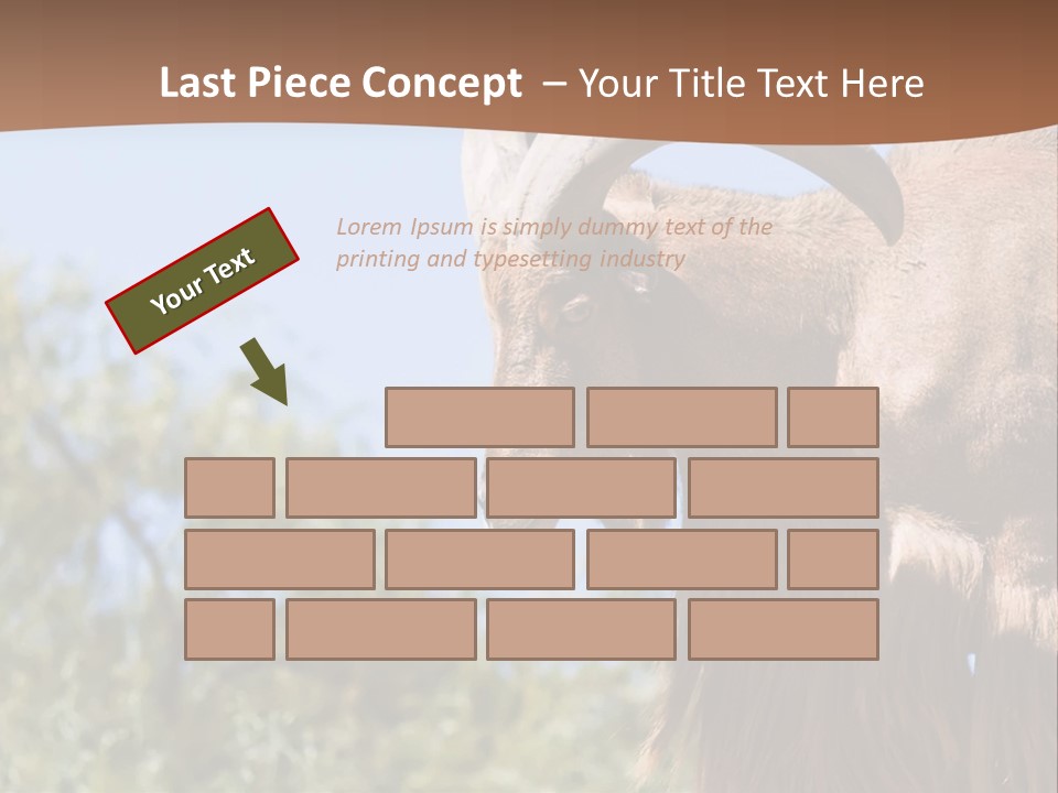 Waddan Sheep Artiodactyla PowerPoint Template