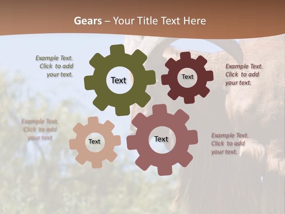 Waddan Sheep Artiodactyla PowerPoint Template