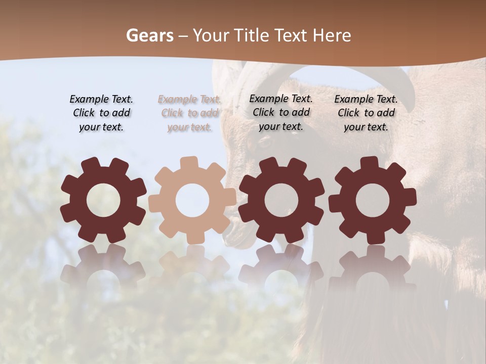 Waddan Sheep Artiodactyla PowerPoint Template