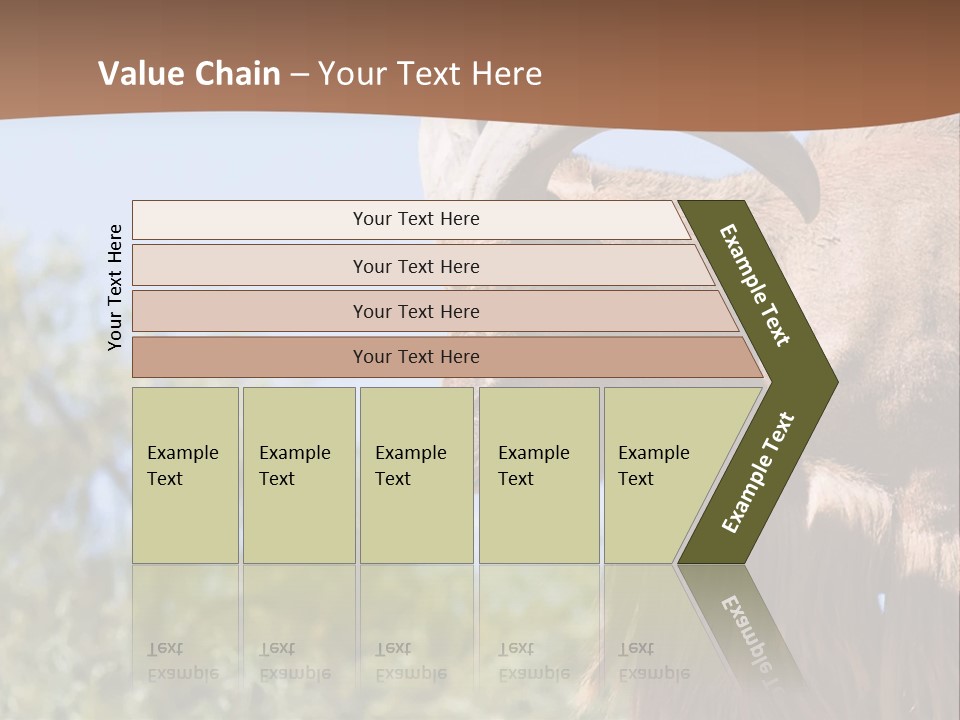 Waddan Sheep Artiodactyla PowerPoint Template