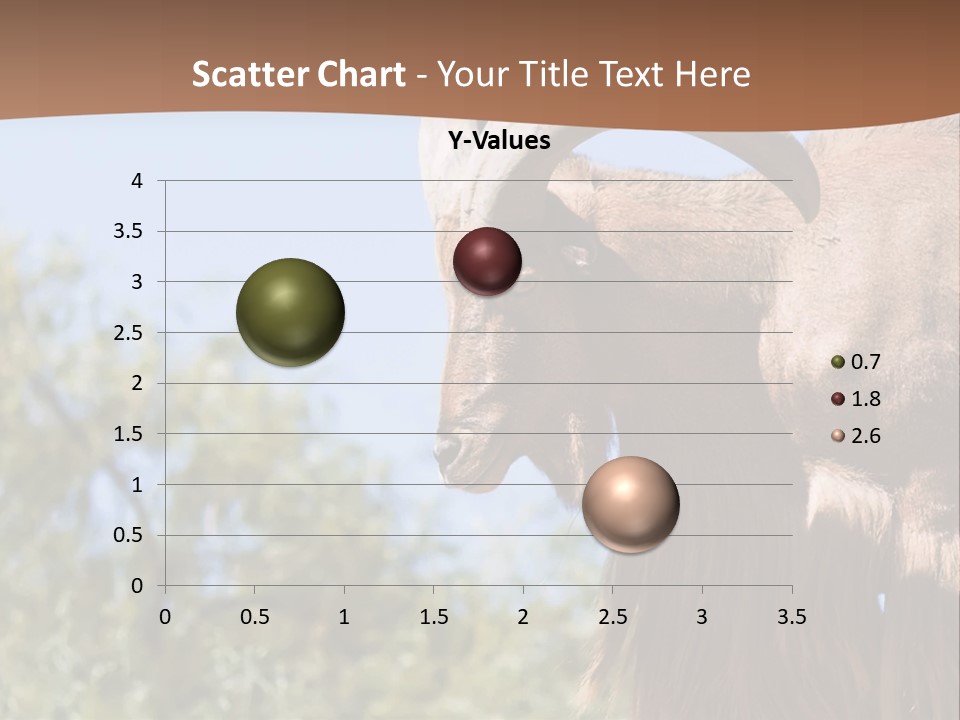 Waddan Sheep Artiodactyla PowerPoint Template